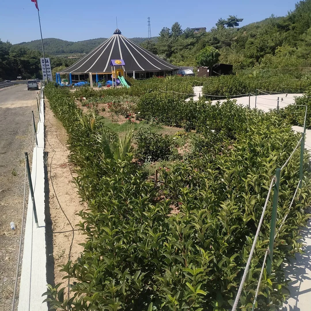İzmir Manisa yolundaki  Yörük Müzemizi ziyaret etmenizi bekleriz...
